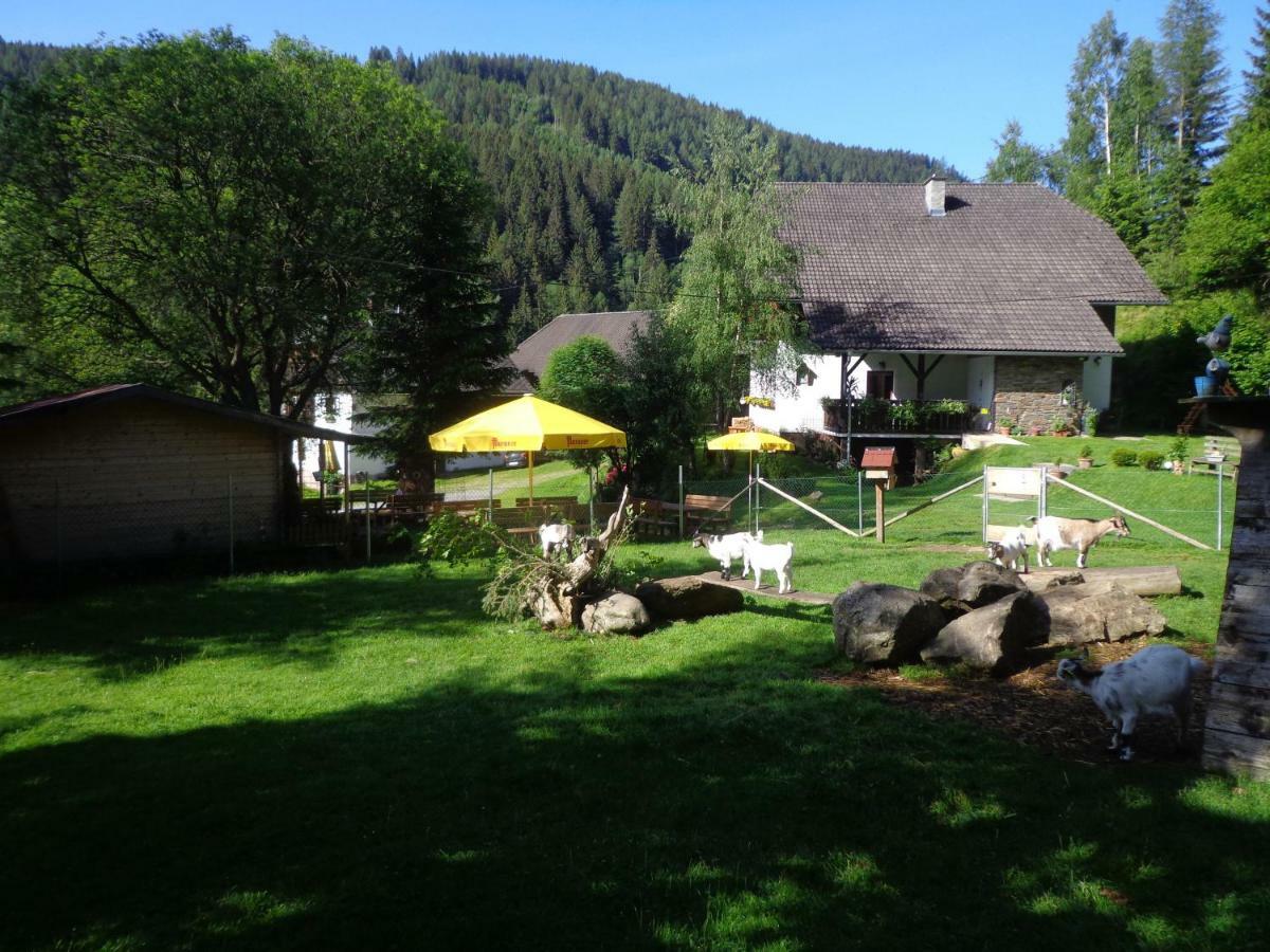 Apartment Zum Wasserfall Krakaudorf Exterior photo